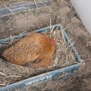 세심농장 이미지