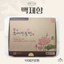 백제향 | [세 자매의 리뷰 TIME] 백제문화유산 주간 이벤트 참여로 받은! 백제향 부여연꽃빵 리뷰🌼
