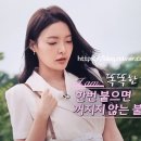 위펫