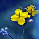 애보박물관 이미지