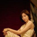 신앤파트너스 뉴스엔