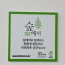 더바른태권도장 이미지