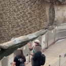 지원중학교 | 에버랜드 캐스트 한달차 후기 | 기숙사 | 부서배치 | 주토피아 | 탐험리더