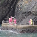 청춘펜션 이미지