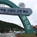 짚핑코리아 | 가을 대둔산 짚핑(짚라인) 체험 후기,팁[동영상 첨부]