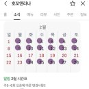 호꼬앤라나