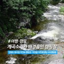 서양양IC - 1803 | 강원도 양양 캠핑장 추천 "미천골 자연휴양림" : 계곡 소리가 배경음이 되는 원시림 자연 속 캠핑장...