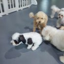 우다다 | 우리의 여름휴가는~