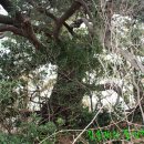 용남해안길 이미지