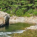 울진 숲속에 산장 펜션 이미지