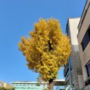 더 행복약국 이미지