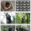 사람과 자연 이미지