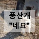 정용농장 이미지