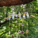 보배유치원 이미지