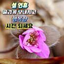 2월 11일 (일요일) 아침인사~ 이미지