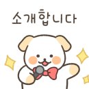 노원연세약국 이미지