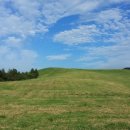 김종필농장 이미지