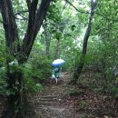 양광석 | 2021.8 21.영남길 구봉산길/우중산행/뺏지획득