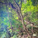 횡성초보캠핑장 | 이렇게 좋은데 왜 사람이 없을까? <강원도 횡성 초보캠핑장>