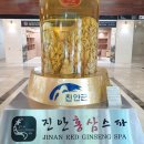 진안읍 1350 이미지