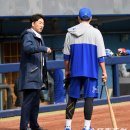 보네일 스포츠조선