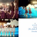 젤리피쉬 이미지