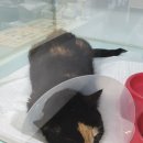 학익동물병원 이미지