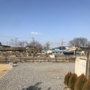 부여축산농협본점 이미지