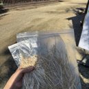 큰골목장 이미지