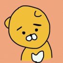 리프레일 이미지