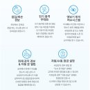 청학로132번길 네이버블로그