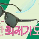 다비치안경 진해점