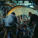 진보퍼피 이미지