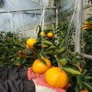 지윤농장 이미지