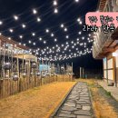 청두곶10길 6 (1) | 경주 풀빌라 한옥 독채 라라 펜션 개별 대형 수영장 단체 가족 펜션 별룸 이용후기