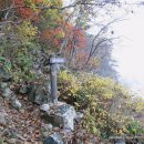 관인중학교 이미지