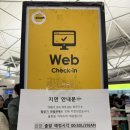 🇹🇼 대만 타이베이 여행 스쿠트항공 비추 후기 [TR897] | 대만 여행지원금 결과
