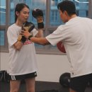 팀위너 복싱핏 이미지