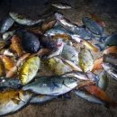 문스헤어 이미지