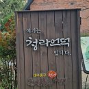 3.1만세운동길 | 대구 청라언덕 목련 개화현황 실시간 방문 후기 (주차 명당 /대기 없는 포토존 팁)