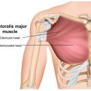 ZO GYM(조짐) 이미지