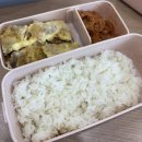강아지고양이편의점전주효자 | 혐생에 지칠때 토끼를 봐