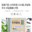 맘꽃가든 이미지