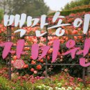 길주로354번길 이미지