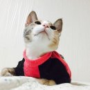 다락방사진관