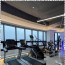 바로 그 GYM 이미지