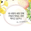 헤어살롱 송주 | 생일이 제일 재밌어