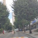 수원시 팔달구 창룡대로210번길 이미지