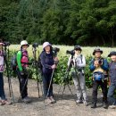 메밀목장 이미지