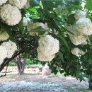 뚝섬한강공원-17 이미지